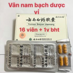 Vân Nam Bạch Dược Dạng Vĩ 16v Có Màu Vàng Mùi Thơm Vị Mát Giúp Tăng Tuần Hoàn Máu