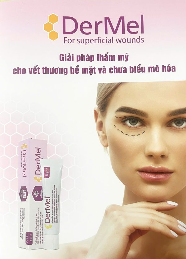 Kem Bôi Mật Ong Dermel Skin Ointment Bôi Vết Thương Chứa Mật Ong Y Khoa Dermel Skin Oinment Tuýp 15g Hàng Chính Hãng