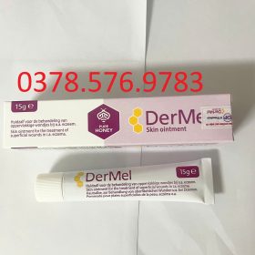 Kem Bôi Mật Ong Dermel Skin Ointment Bôi Vết Thương Chứa Mật Ong Y Khoa Dermel Skin Oinment Tuýp 15g Hàng Chính Hãng